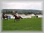 P9090096_th.jpg 4,3K