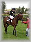 P9090104_th.jpg 5,3K