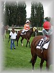 P9090110_th.jpg 5,6K