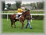 P9090114_th.jpg 5,6K