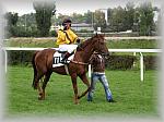 P9090115_th.jpg 5,6K