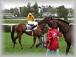 P9090116_th.jpg 6,0K