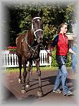 P9090121_th.jpg 6,5K