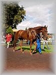 P9090122_th.jpg 5,1K
