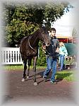 P9090124_th.jpg 5,9K