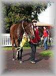 P9090126_th.jpg 5,7K
