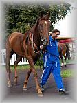 P9090133_th.jpg 5,7K
