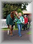 P9090136_th.jpg 5,7K