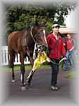 P9090137_th.jpg 5,7K