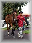 P9090139_th.jpg 5,7K