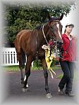 P9090141_th.jpg 5,5K