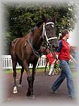 P9090142_th.jpg 5,8K