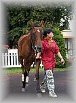 P9090143_th.jpg 5,8K