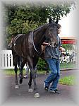 P9090144_th.jpg 5,6K