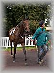P9090145_th.jpg 5,6K