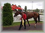 P9090164_th.jpg 5,4K