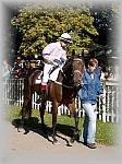P9300033_th.jpg 6,9K