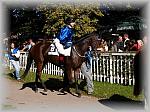 P9300036_th.jpg 6,7K