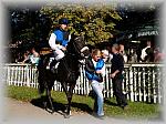 P9300037_th.jpg 7,1K