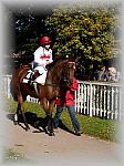 P9300039_th.jpg 6,4K