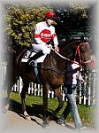 P9300046_th.jpg 6,8K