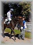 P9300047_th.jpg 6,5K