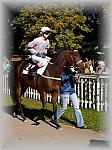 P9300049_th.jpg 6,6K