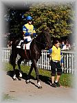 P9300053_th.jpg 6,6K
