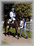 P9300077_th.jpg 6,4K