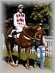 P9300084_th.jpg 6,8K