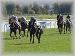 P9300096_th.jpg 5,8K