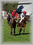 P9300114_th.jpg 5,7K