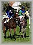 P9300116_th.jpg 6,1K