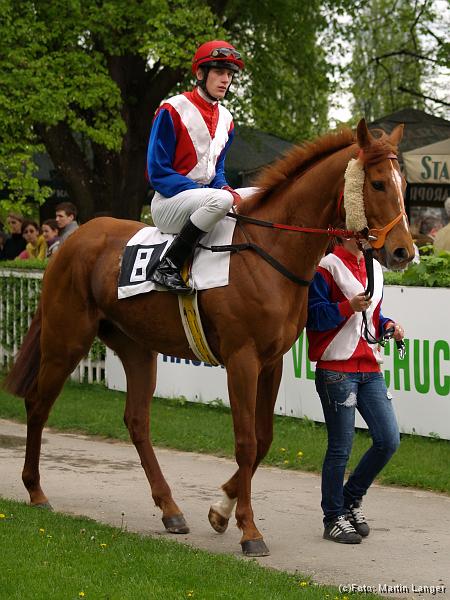 S5020072.jpg