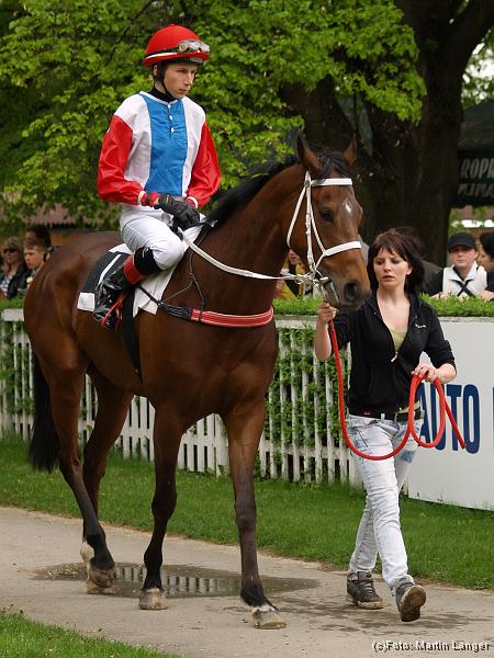 S5020083.jpg