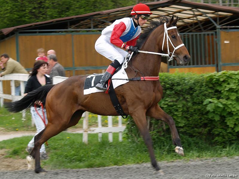 S5020096.jpg