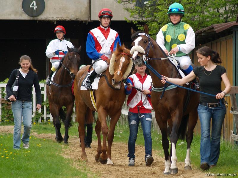 S5020103.jpg