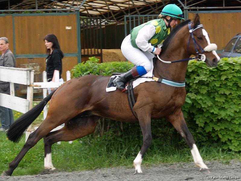 S5020105.jpg