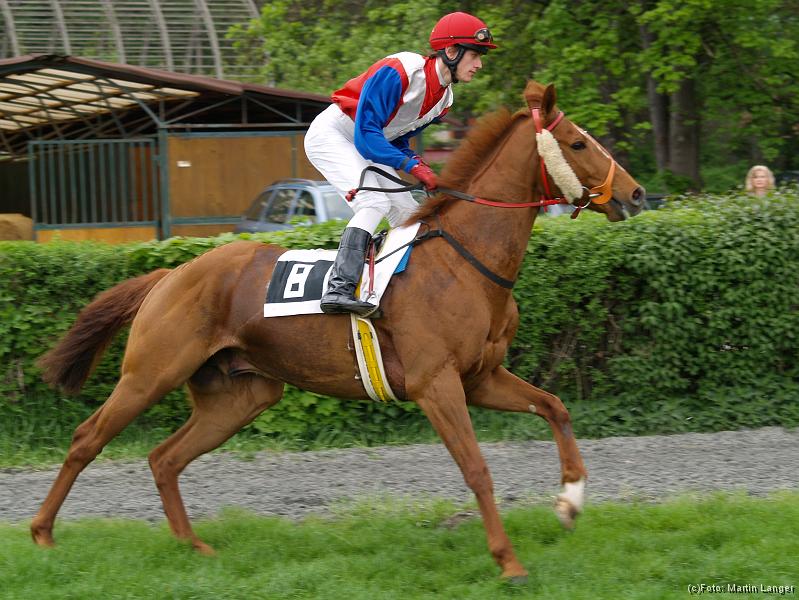S5020107.jpg