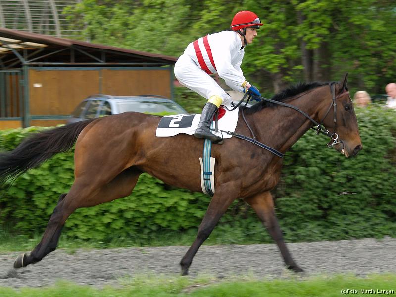 S5020114.jpg