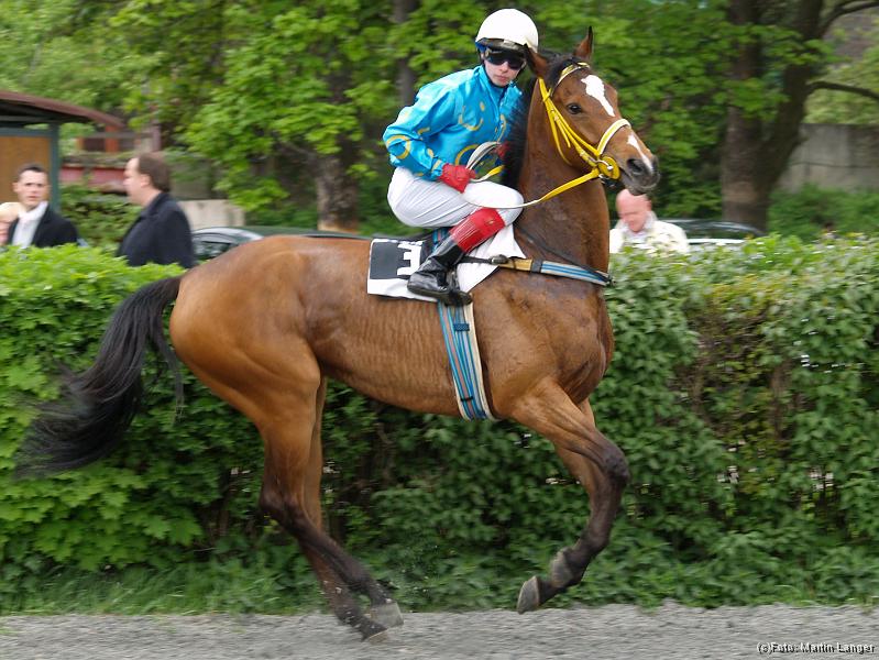 S5020131.jpg