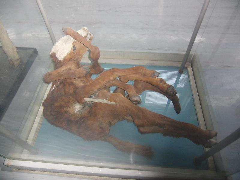 CIMG1569.JPG