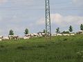 CIMG1758