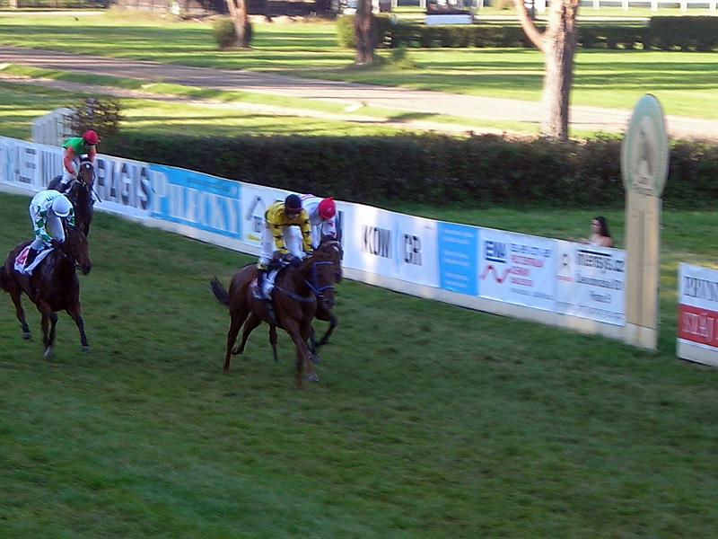 DSCN6298.jpg