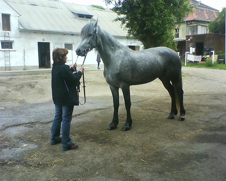 P6230004.jpg