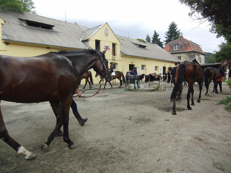 CIMG0725.JPG
